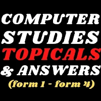 Computer studies: topicals