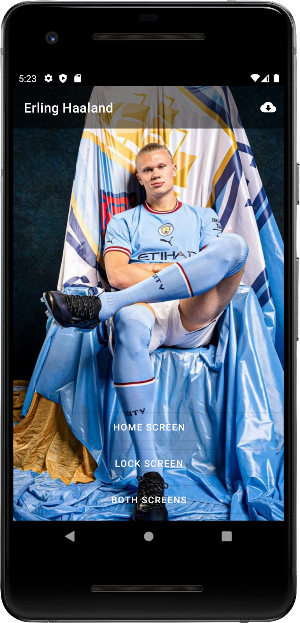 Erling Haaland Wallpaper 2023 Screenshot 2