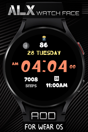 ALX29 LCD Watch Face Screenshot 3