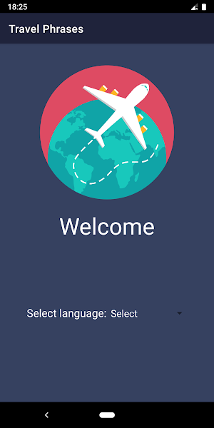 Travel Phrases Screenshot 0