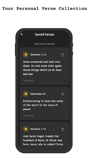 Swipe Bible: Daily Insight Screenshot 3