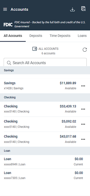 Meridian Treasury Management Screenshot 2