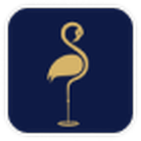 Flamingo Organizasyon Yönetimi