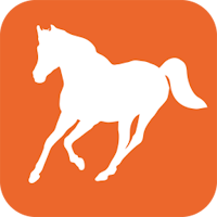 ANFOAL