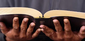 Ilocano Bible Screenshot 2