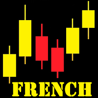 Apprendre le Trading & Forex