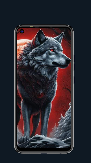 Wolf Wallpapers HD 4K screenshot 3