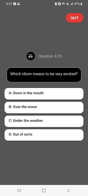 Idioms and Phrases Quiz Screenshot 2