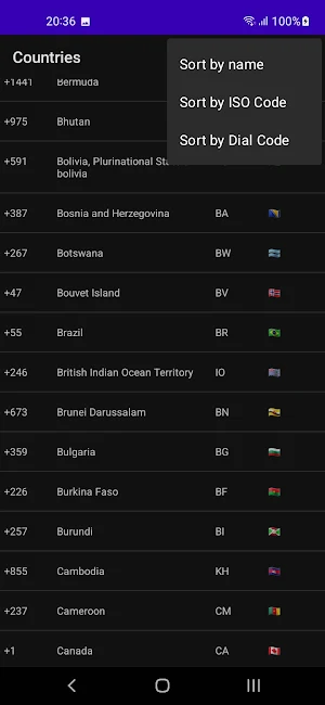 World Dial Codes and Flags Screenshot 3