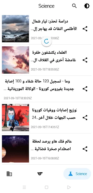 Egypt News Screenshot 2