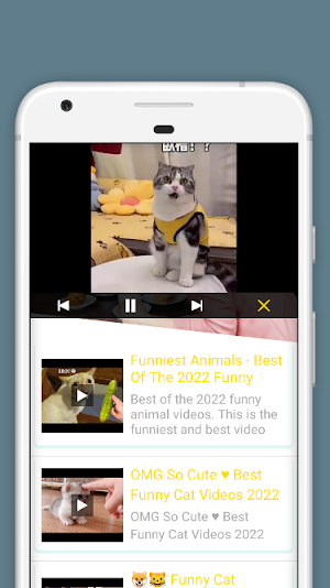 A Funny Video : Funny Clips Screenshot 2