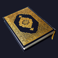 Hafiz Quran