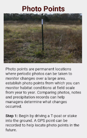 Bobwhite Habitat Evaluation Screenshot 2