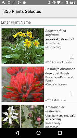 Nevada Wildflowers Screenshot 2