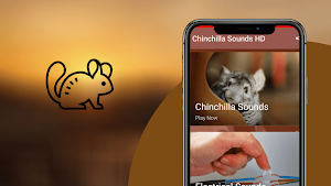 Chinchilla Sounds Screenshot 0