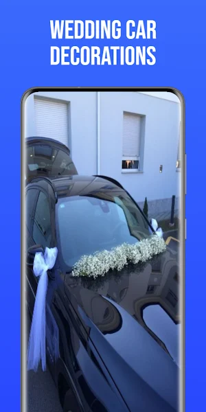 Wedding Car Decorations Screenshot 0