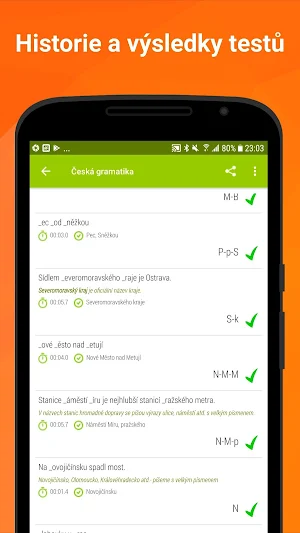 Czech grammar screenshot 6