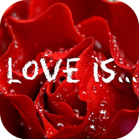 Sweet Love Quotes