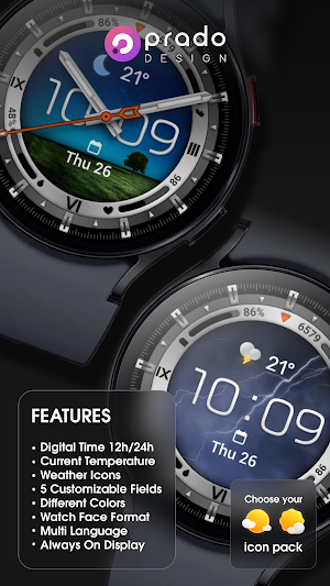 PRADO 87 Hybrid Weather Screenshot 2