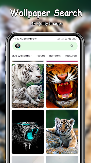 Tiger 4k Wallpapers Screenshot 1