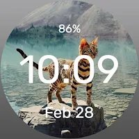 Tiger in a cat - Watch Face