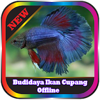Budidaya Ikan Cupang Lengkap