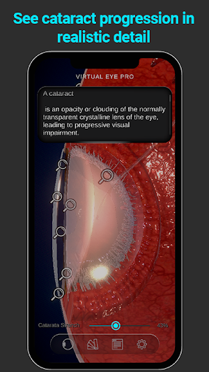 Virtual Eye Pro Screenshot 3
