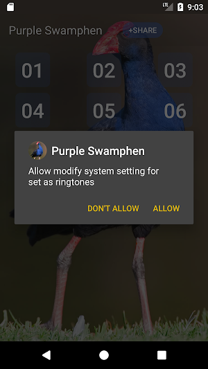 Purple Swamphen Sounds Screenshot 2