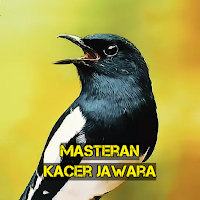 Masteran Kacer Jawara