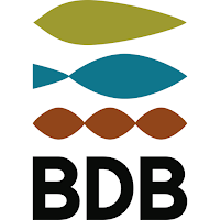 GVA BDB