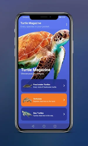 Turtle Magazine Screenshot 0