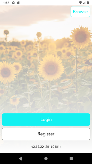 Southern Sunflower Boutique Screenshot 0