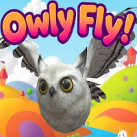 Owly Fly!