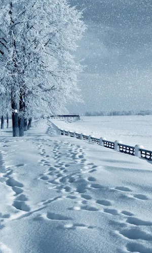 Beautiful Snowfall Wallpapers Screenshot 3