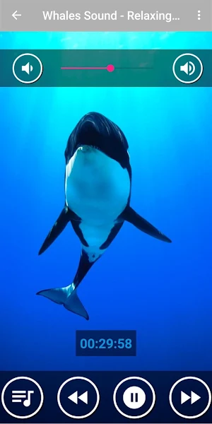 Underwater Whale Sounds for Sleep Screenshot 0