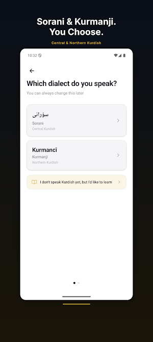 Kurdish TTS: Sorani & Kurmanji Screenshot 3