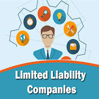 Limited Liability Companies (LLC)