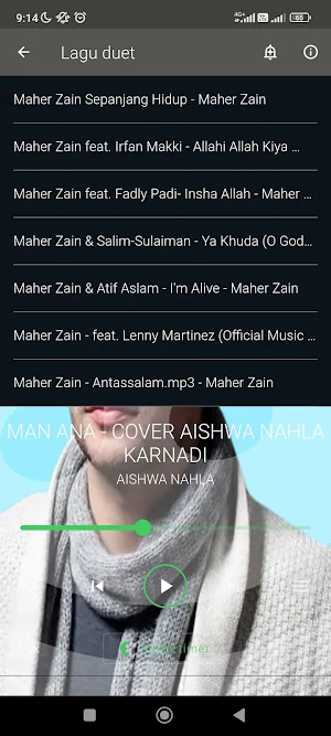 Maher Zain Mp3 offline Screenshot 3