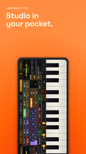 Arranger Pro Screenshot 0