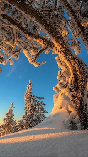 Winter Wallpapers in 4K HD Screenshot 1