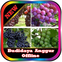 Wine cultivation Offline