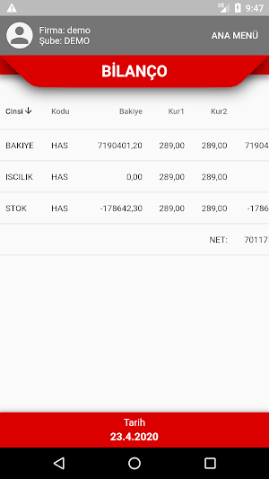 ERP Rapor Screenshot 3