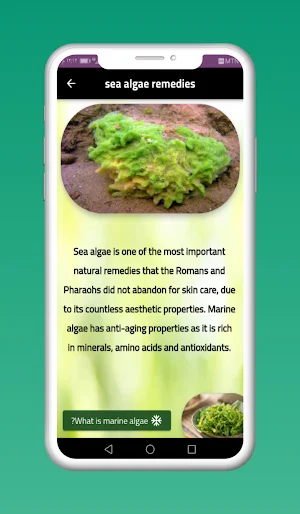Seaweeds Recipes Screenshot 0