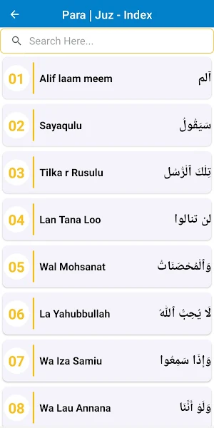 Al Quran -15 Lines Hifz القرأن Screenshot 3