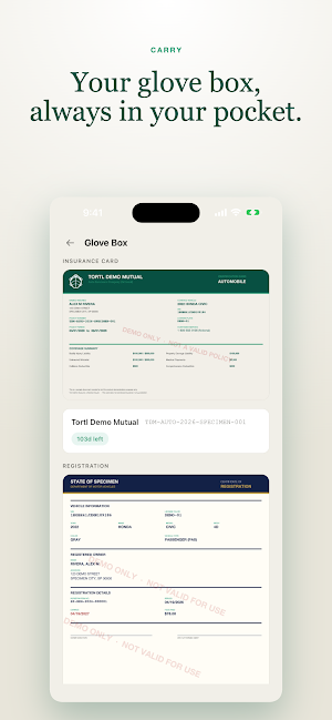 tortl Screenshot 2