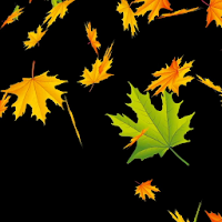 Autumn Leaves Wallpaper Pro