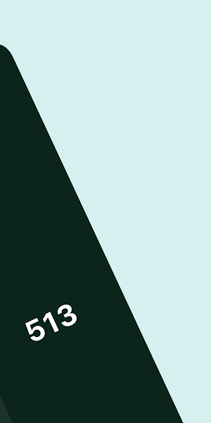 20 Numbers Challenge Screenshot 3