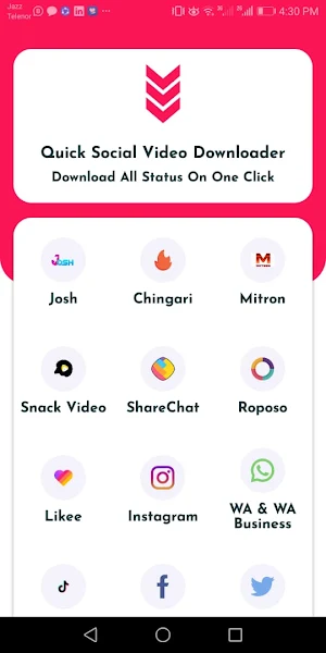 Quick Social Video Downloader Screenshot 0