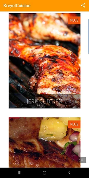 Kreyol Cuisine:  recipes from  Screenshot 1