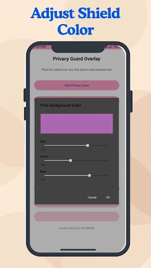 Privacy Display Guard Screenshot 3
